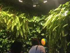 -曼妙午后(益泉百货店)