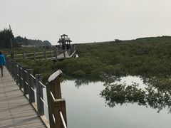 -北海金海湾红树林生态旅游区