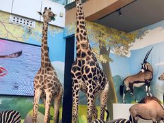 -陕西自然博物馆