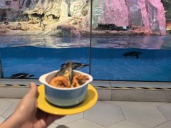 -帝企鹅自助餐厅•儿童岛•真企鹅(长隆企鹅酒店)