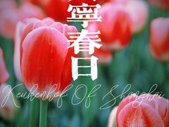 -大宁公园