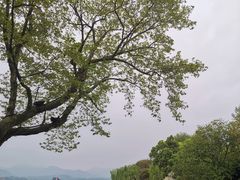 -西湖天地