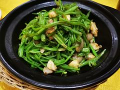 砂煲扁豆-大瓦罐湘土菜(海淀南路店)