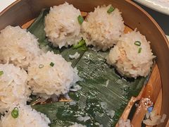 -丽华园(青少年宫店)
