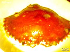 200809294159-荷花泰菜(东方新天地店)