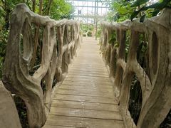 -南山植物园