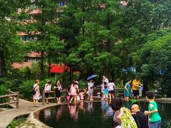 -成都市活水公园