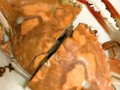-北塘海鲜·天津菜(大光明桥旗舰店)