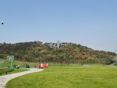 -羊山湖公园