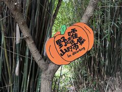 -九龙潭景区