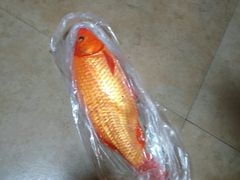 家烧田鱼-丽水农庄(岩头店)