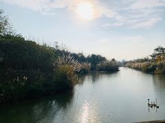 -白鹭湾湿地公园
