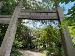 -东山风景区(洞庭东山)
