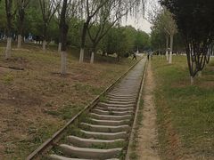 -永定河休闲森林公园