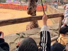 -杭州野生动物世界