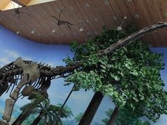 -延庆地质公园博物馆