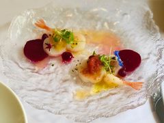 日本小甜虾-蝶舍·MAISON PAPILLON