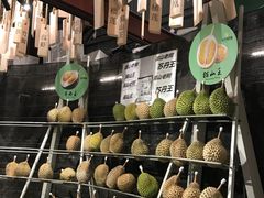 -都念榴莲·城市榴莲