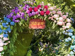 -沂蒙云瀑洞天景区