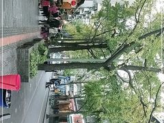 -奎星楼街
