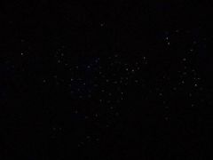 -怀托摩萤火虫洞