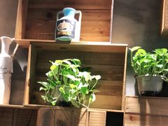 -比格比萨自助(花园路店)
