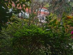 -阳光山水江湖菜馆(西山龙门店)