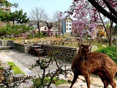 -观唐（国际）度假村温泉