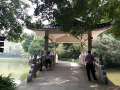 -西樵山风景名胜区-天湖公园