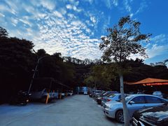 -鲤鱼塘农家山庄