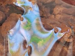 -沈家花园如皋菜(君御豪庭店)