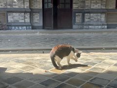 -平安桥天主教堂