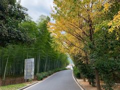 -天目湖御水温泉·度假酒店