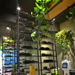 -藤野造型·专业烫染店