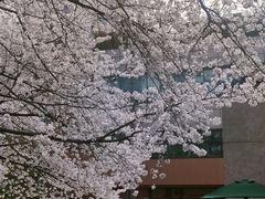 -玛格萝妮比萨屋(四平店)