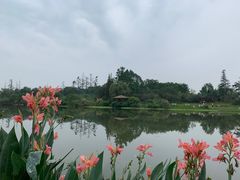 -桤木河湿地公园