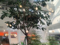 -大树餐厅(红旗街万达店)