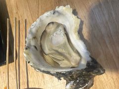 压锅生蚝-亦庄碳烧鸽子王串吧