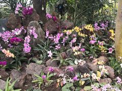 -南山植物园