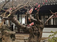 -秋霞圃