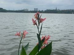 -海珠湖公园