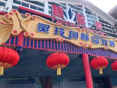 -灵玲国际马戏城