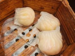 -小街天府