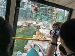 -栾川竹海野生动物园