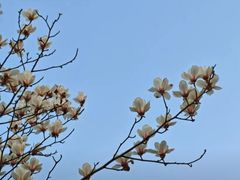 -南湖湿地公园
