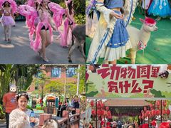 -灵玲国际马戏城