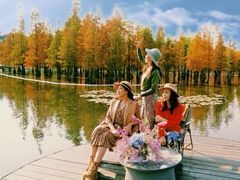 -白鹭湾湿地公园