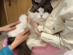 -pd派德宠物中心医院24H急重症·眼科中心·血液透析中心(嵩山北路店)