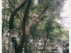 -四川大学(望江校区)