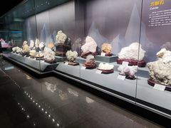 -湖南省地质博物馆